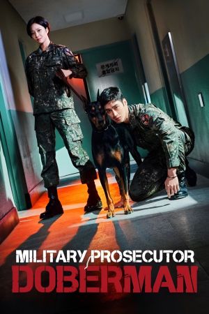 Dobermann: procuratore militare streaming - guardaserie