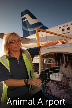 Airport security: animali streaming - guardaserie